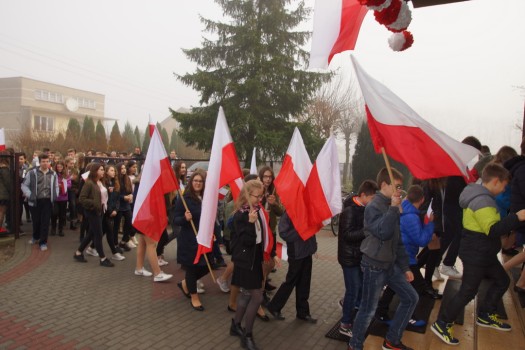 Marsz dla Białoczerwonej 1