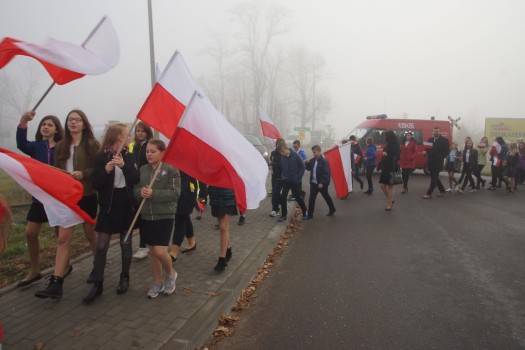Marsz dla Białoczerwonej 12