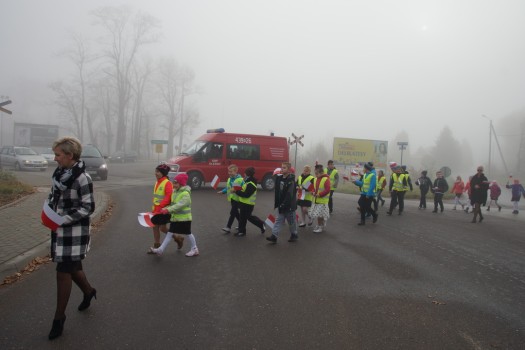 Marsz dla Białoczerwonej 17