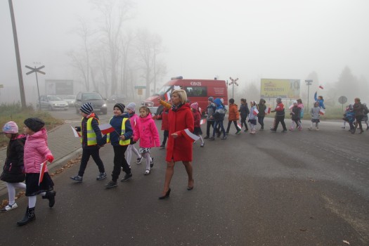 Marsz dla Białoczerwonej 18