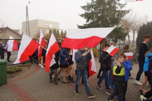 Marsz dla Białoczerwonej 2