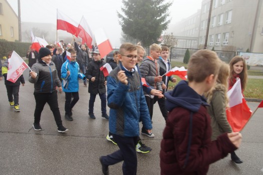 Marsz dla Białoczerwonej 33