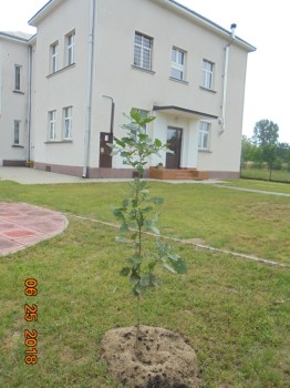 Poczatek roku w naszym Przedszkolu 16