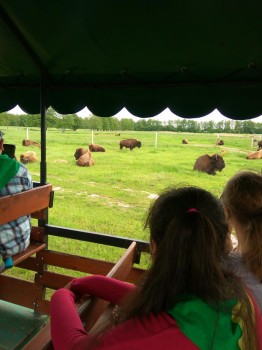 Wycieczka-klas-5-do-Sandomierza-i-Kurozwęk-10