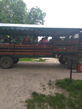 Wycieczka-klas-5-do-Sandomierza-i-Kurozwęk-14