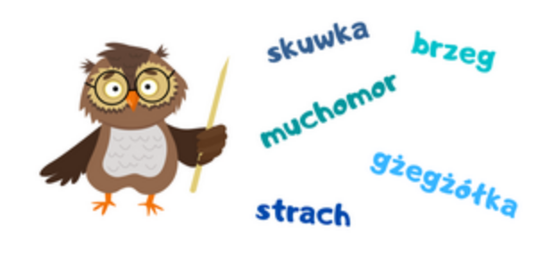 XVIII Gminny Konkurs Ortograficzny dla klas 1-3